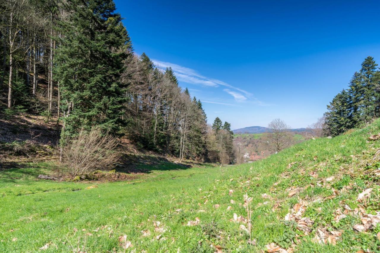 Appartement Ferienwohnung Gernsbach